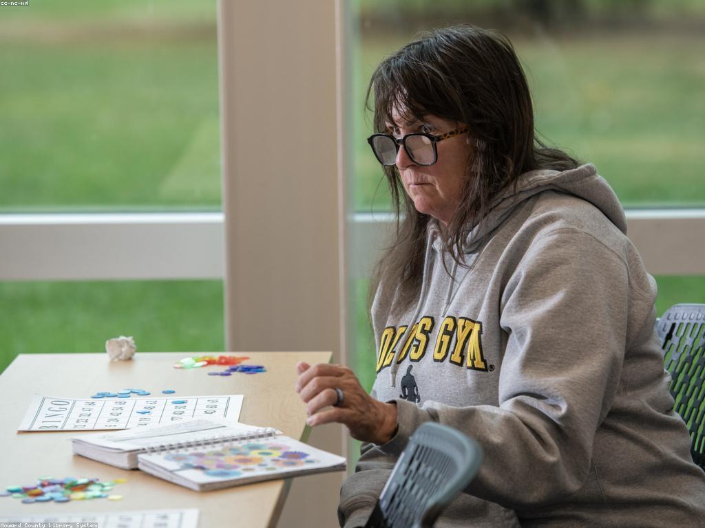 ការណែនាំអំពីកាស៊ីណូ