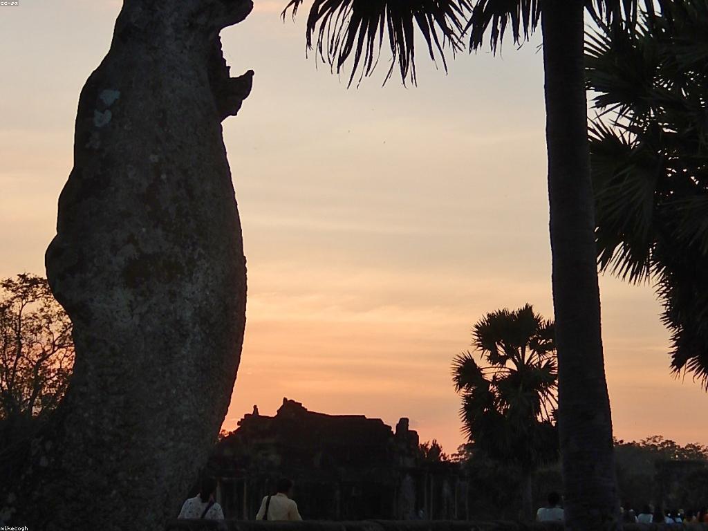ការយល់ដឹងអំពីសញ្ញាសនាគ